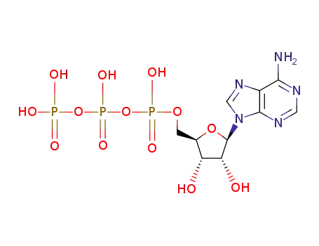 56-65-5